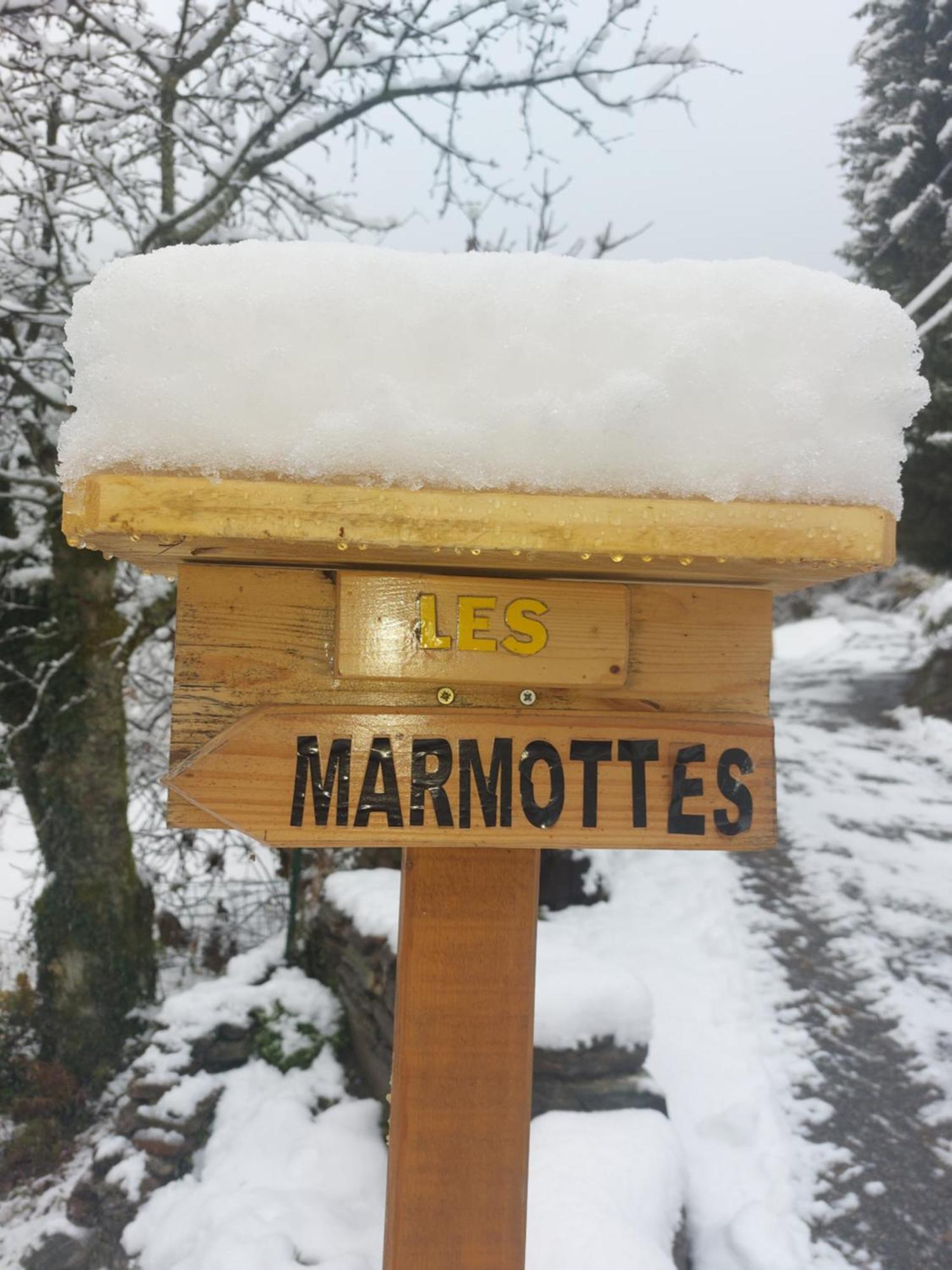 Appartamento Les Marmottes Les Etalons Camera foto